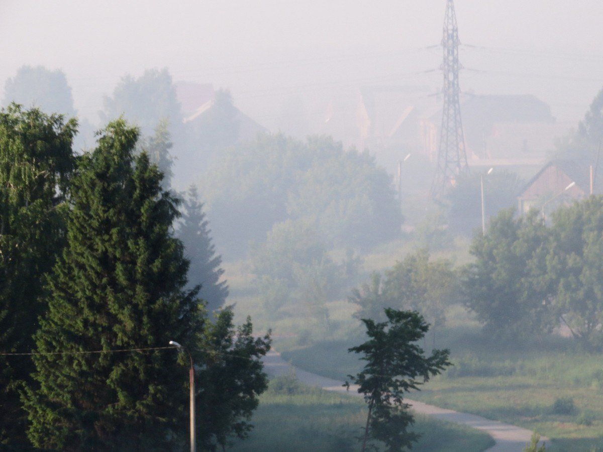 Бердск затянуло дымом от горящей свалки